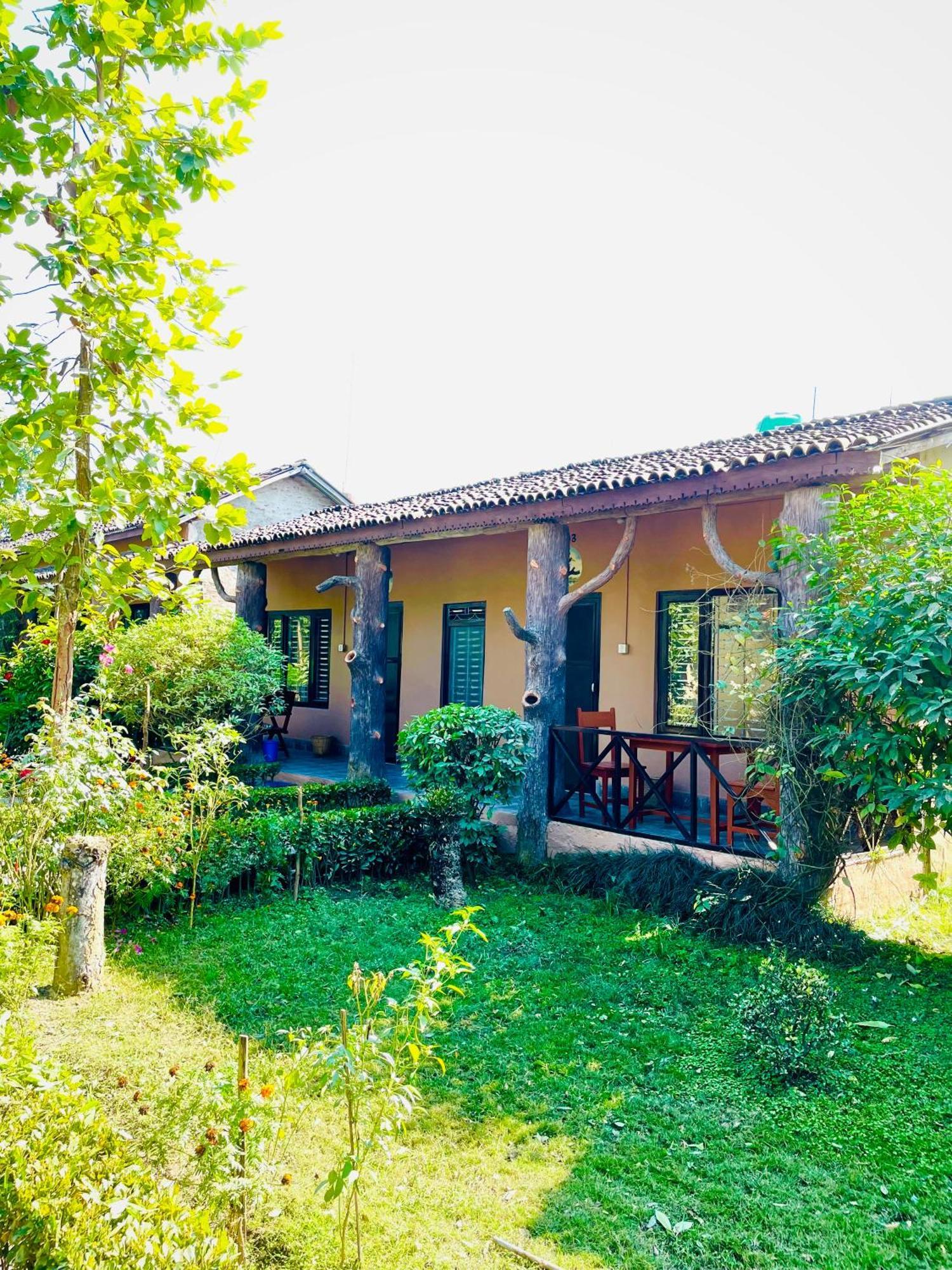 Travellers Jungle Camp-Sauraha Hotel Exterior photo