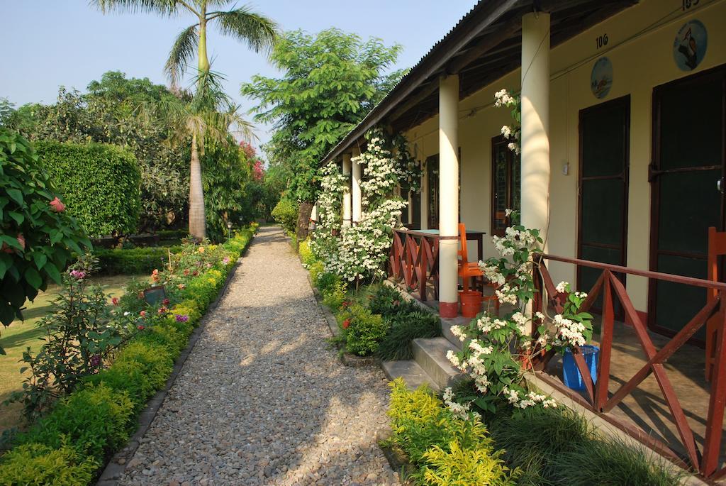 Travellers Jungle Camp-Sauraha Hotel Exterior photo