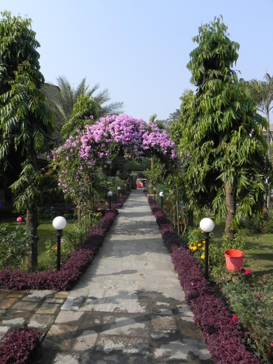 Travellers Jungle Camp-Sauraha Hotel Exterior photo